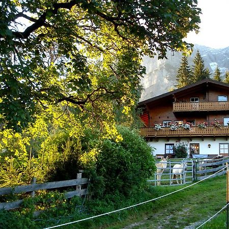 Haus Berghild Apartment Ramsau am Dachstein Luaran gambar
